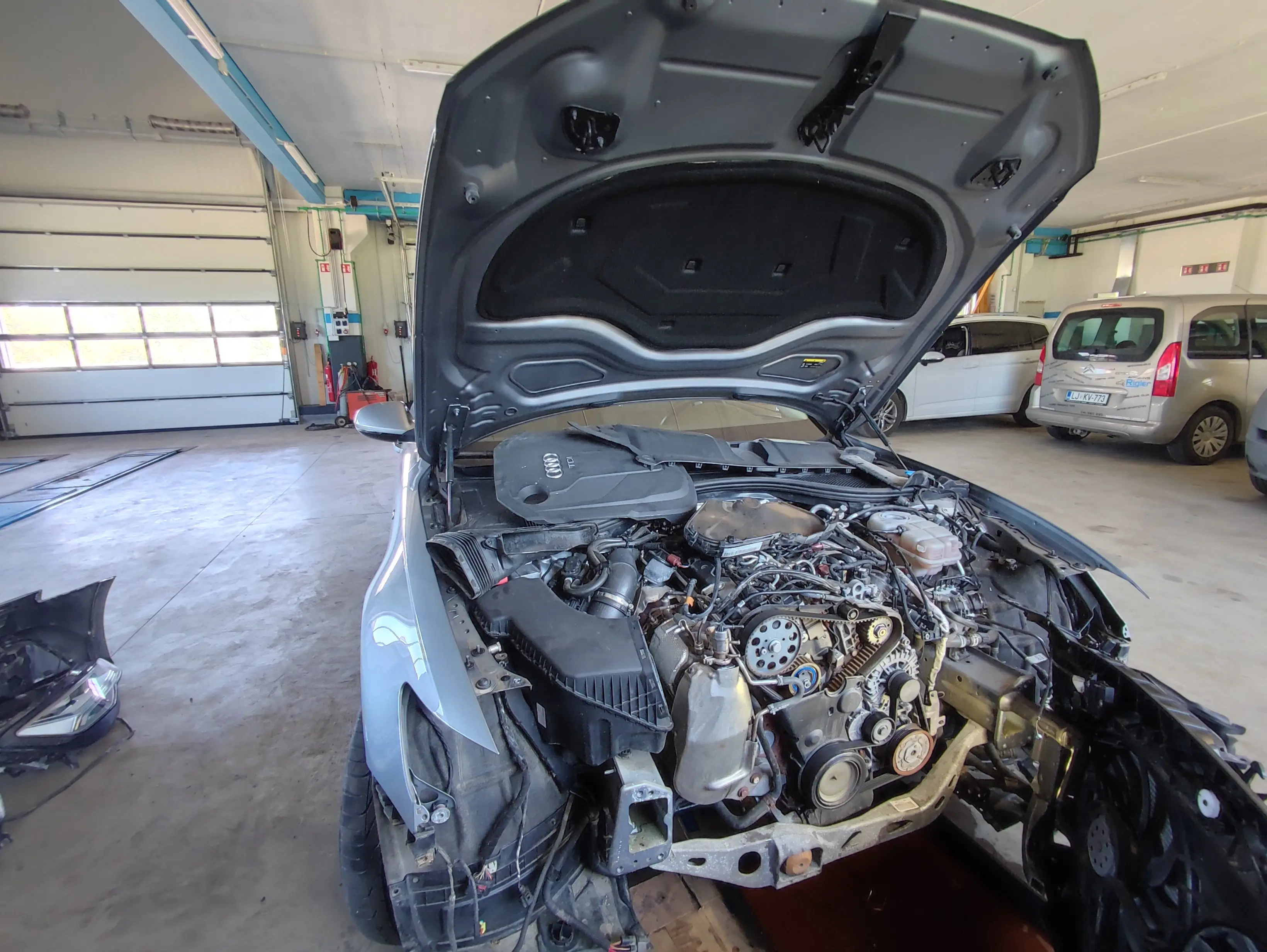 glavni-servis-rigler-dobrepolje