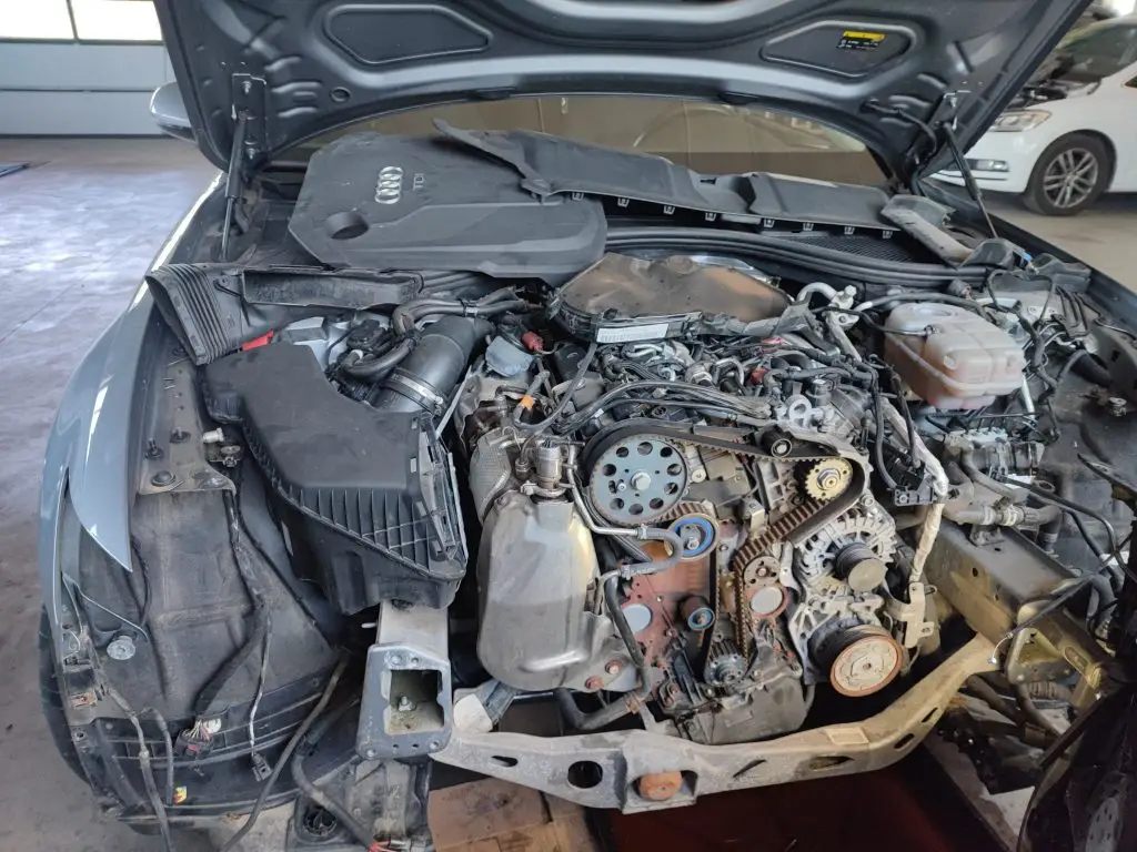 menjava-zobatega-jermena-dobrepolje-rigler